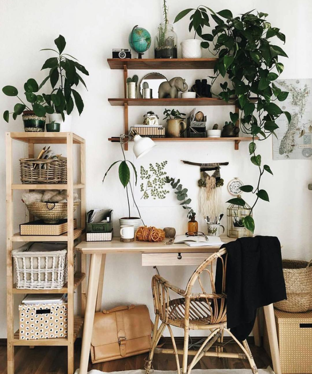 #3 | #HomeOfficeEnvy Greenery enhances creativity! So if your workspace doesn’t look out onto a lush forest, surround yourself with pot plants, close your eyes & listen to the birds by the window :) Via @friederikchen